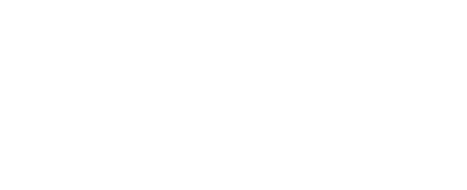 Logo: FDSV, Fachverband Deutscher Sprachschulen und Sprachreise-Veranstalter e.V.